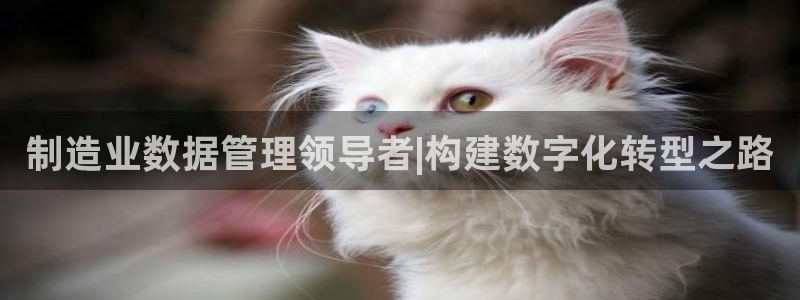 彩神8彩平台