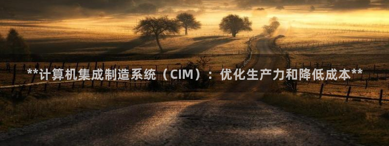 彩神是怎样一个平台赚钱的：**计算机集成制造系统（CIM）：优化生产力和降低成本**