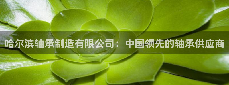 彩神平台能提现吗：哈尔滨轴承制造有限公司：中国领先的轴承供应商