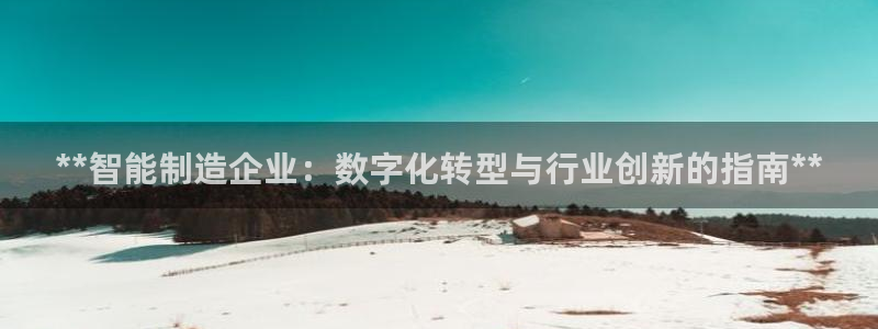 彩神8彩平台：**智能制造企业：数字化转型与行业创新的指南*