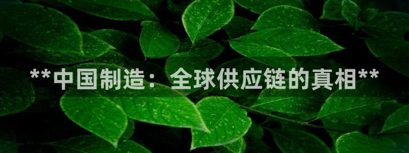 有谁知道彩神争霸的网址：**中国制造：全球供应链的真相**