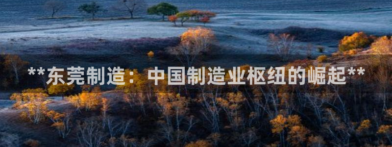 彩神v1官网：**东莞制造：中国制造业枢纽的崛起**