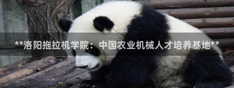 彩神怎么才能赢：**洛阳拖拉机学院：中国农业机械人才培养基地**