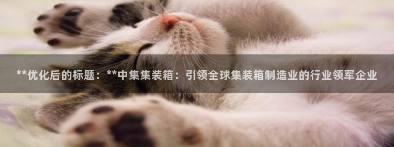 彩神V集团公司：**优化后的标题：**中集集装箱：引领全球集装箱制造业的行业领军企业