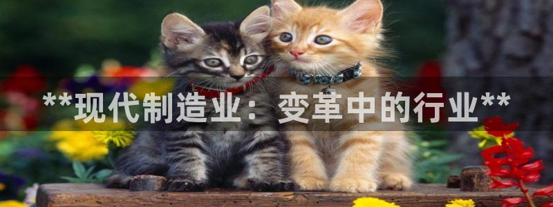 大发彩神最高邀请码：**现代制造业：变革中的行业**