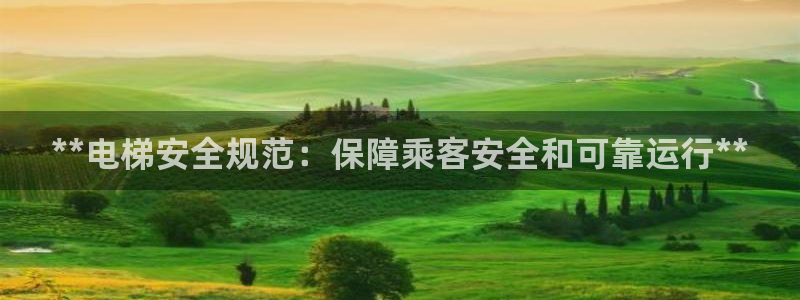 彩神平台可以破解吗：**电梯安全规范：保障乘客安全和可靠运行**
