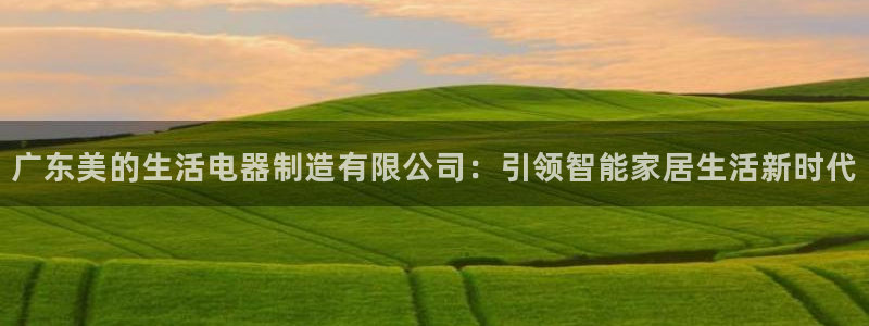 彩神iv争霸购彩大厅：广东美的生活电器制造有限公司：引领智能家居生活新时代