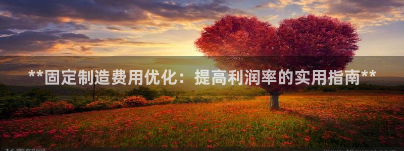 彩神ios下载：**固定制造费用优化：提高利润率的实用指南*