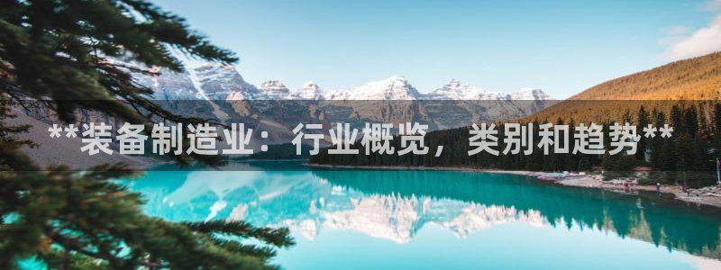 彩神数码科技有限公司：**装备制造业：行业概览，类别和趋势**
