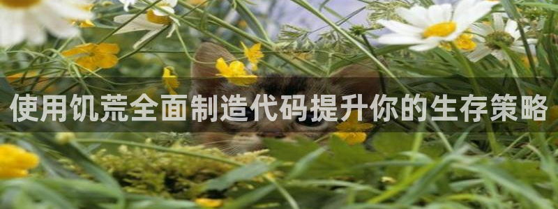 彩神用户登录：使用饥荒全面制造代码提升你的生存策略