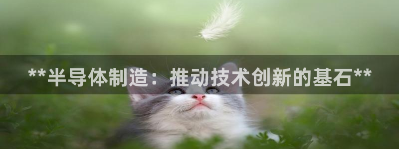 彩神怎么样可以提现：**半导体制造：推动技术创新的基石**