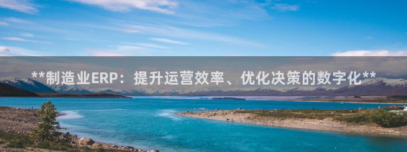 彩神v争霸有限公司：**制造业ERP：提升运营效率、优化决策的数字化**