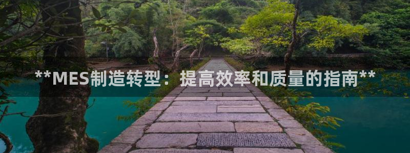 彩神客服电话：**MES制造转型：提高效率和质量的指南**
