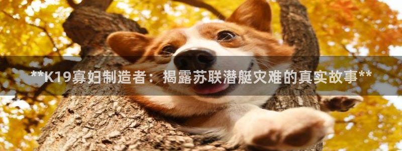 彩神v争霸是啥：**K19寡妇制造者：揭露苏联潜艇灾难的真实