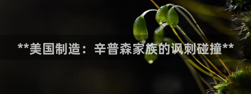 彩神app赚钱是真是假：**美国制造：辛普森家族的讽刺碰撞**