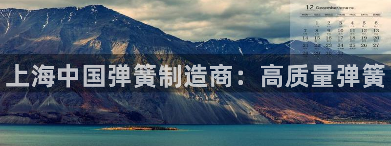 彩神iv争霸购彩大厅：上海中国弹簧制造商：高质量弹簧