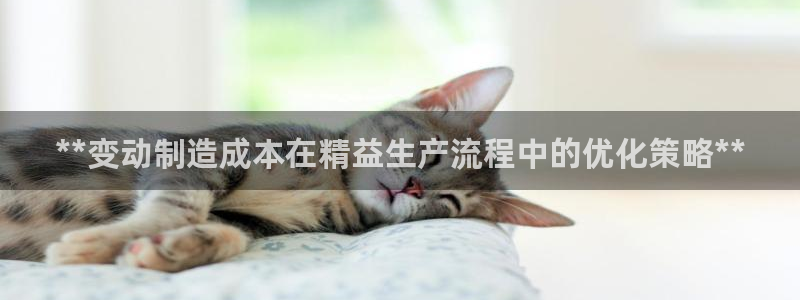 彩神购彩-购彩大厅入口：**变动制造成本在精益生产流程中的优化策略**
