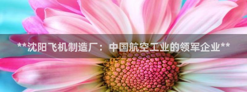 彩神vll首页环球：**沈阳飞机制造厂：中国航空工业的领军企业**