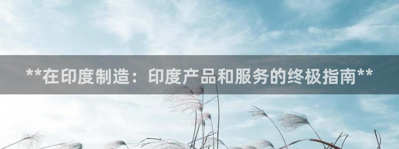 彩神8官网版是正规的吗：**在印度制造：印度产品和服务的终极指南**
