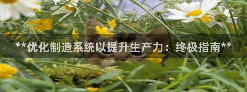 彩神趣购彩用户注册：**优化制造系统以提升生产力：终极指南**