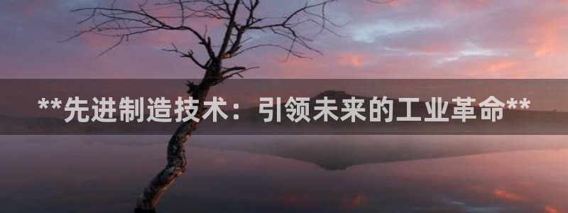 彩神vip购彩大厅在哪：**先进制造技术：引领未来的工业革命**