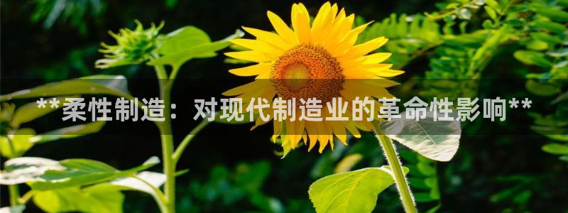新版彩神v8登录不上去：**柔性制造：对现代制造业的革命性影响**