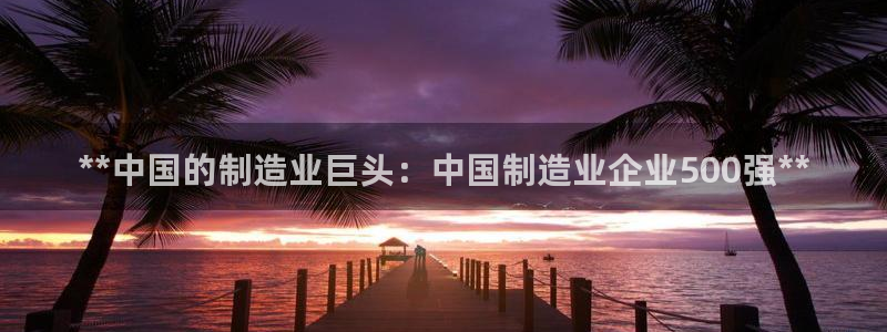 彩神v8是一个什么平台啊：**中国的制造业巨头：中国制造业企业500强**