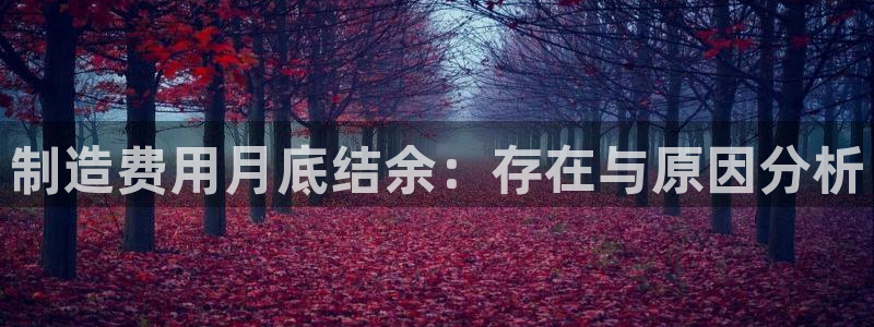 彩神输的钱是赌博还是诈骗：制造费用月底结余：存在与原因分析