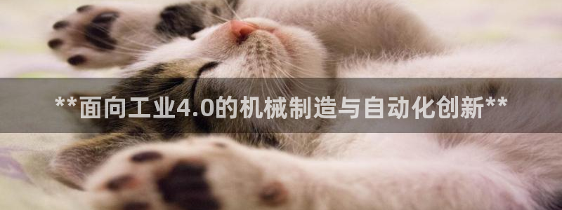 彩神vii购彩l心：**面向工业4.0的机械制造与自动化创新**