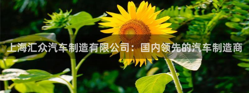 彩神8官网版是正规的吗：上海汇众汽车制造有限公司：国内领先的汽车制造商