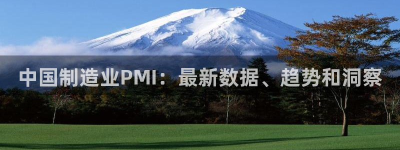 彩神8购彩-购彩大厅：中国制造业PMI：最新数据、趋势和洞察