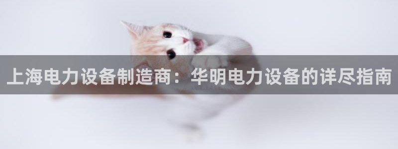 彩神争霸平台：上海电力设备制造商：华明电力设备的详尽指南