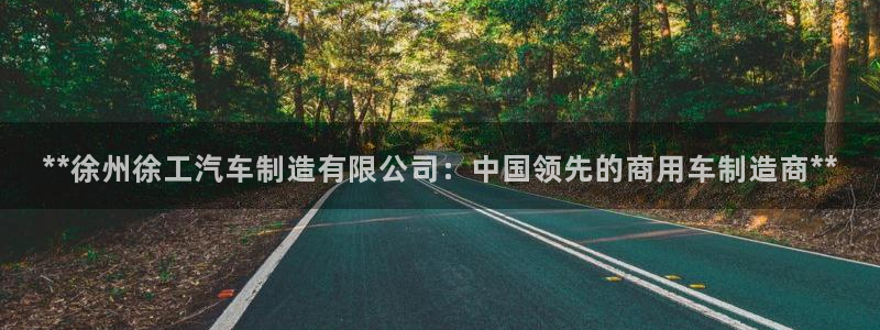 彩神8购彩-购彩大厅：**徐州徐工汽车制造有限公司：中国领先