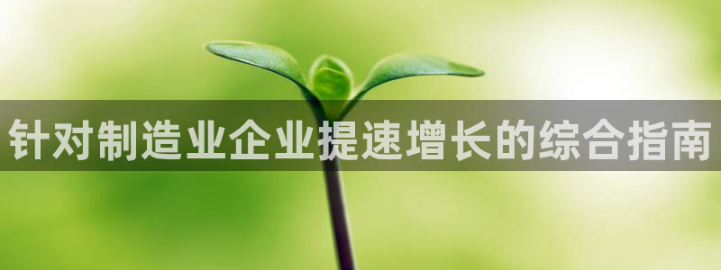 彩神vll趣投彩：针对制造业企业提速增长的综合指南