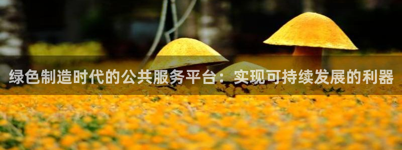 彩神8彩平台