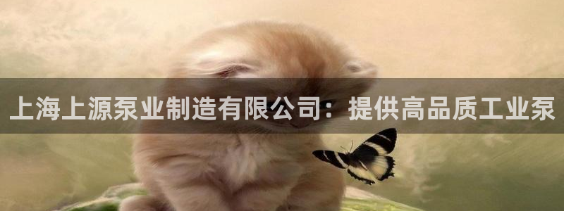 彩神8最新版下载：上海上源泵业制造有限公司：提供高品质工业泵