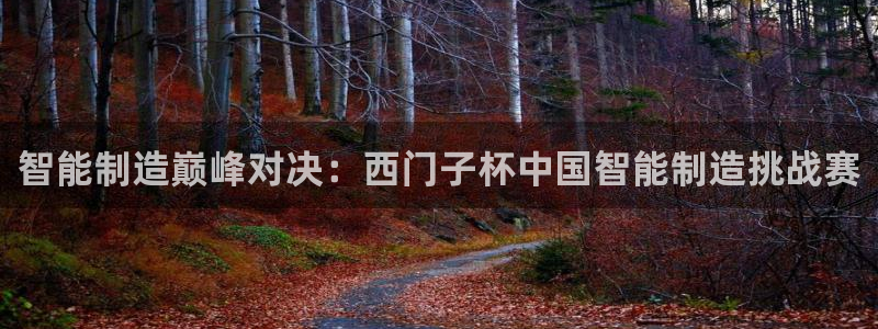 彩神v下载安装：智能制造巅峰对决：西门子杯中国智能制造挑战赛