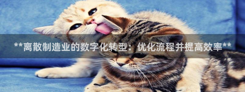 彩神v8下载：**离散制造业的数字化转型：优化流程并提高效率**