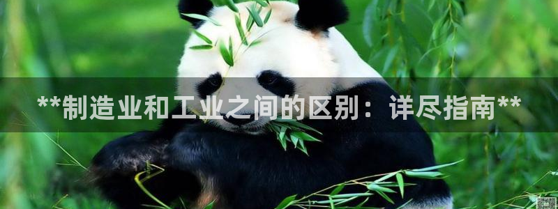 彩神vi争霸官网：**制造业和工业之间的区别：详尽指南**
