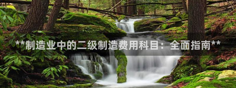 彩神购彩-购彩大厅入口下载：**制造业中的二级制造费用科目：全面指南**
