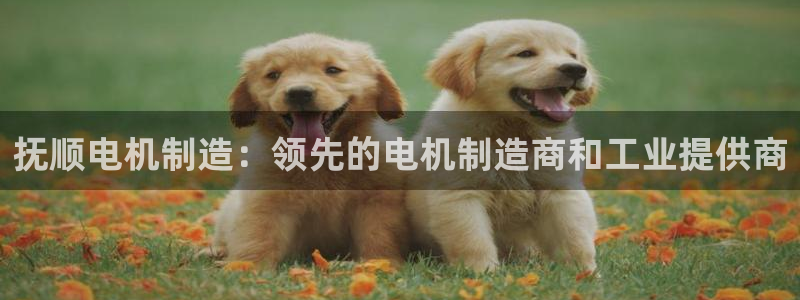 彩神v8app：抚顺电机制造：领先的电机制造商和工业提供商