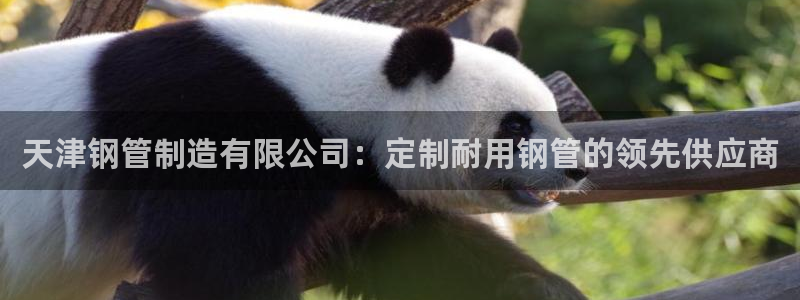 彩神vll官网-最新版app下载：天津钢管制造有限公司：定制耐用钢管的领先供应商
