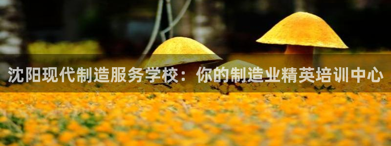 彩神网合法吗：沈阳现代制造服务学校：你的制造业精英培训中心