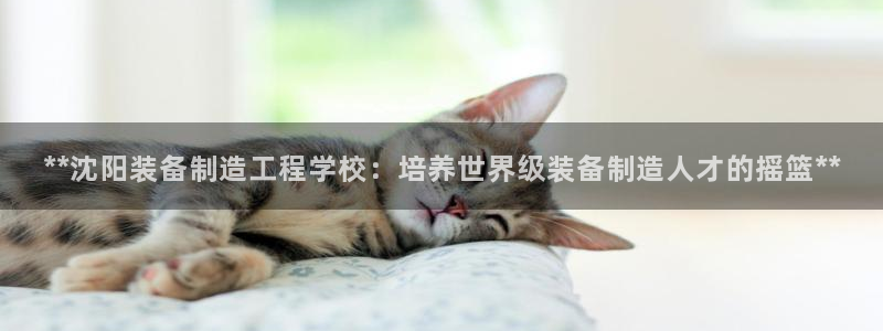 v大发彩神8iii：**沈阳装备制造工程学校：培养世界级装备制造人才的摇篮**