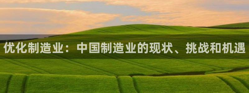 下载彩神乐发V：优化制造业：中国制造业的现状、挑战和机遇