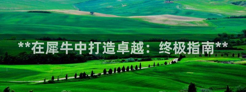 彩神8官网下：**在犀牛中打造卓越：终极指南**