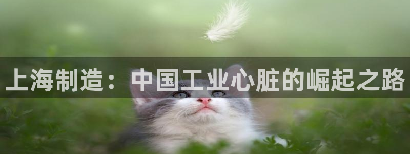 彩神v8首页：上海制造：中国工业心脏的崛起之路