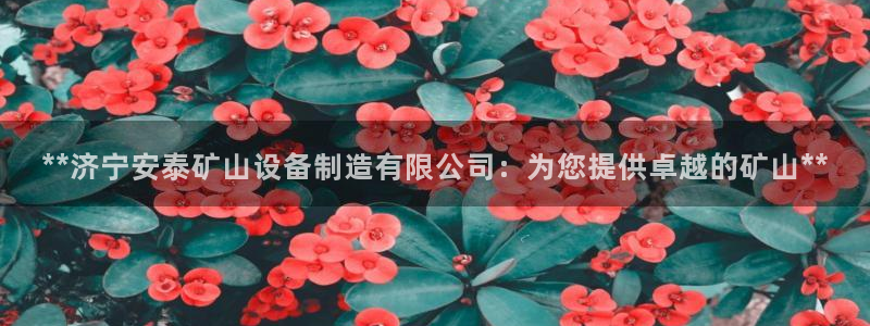 彩神旗下有哪些平台：**济宁安泰矿山设备制造有限公司：为您提供卓越的矿山**