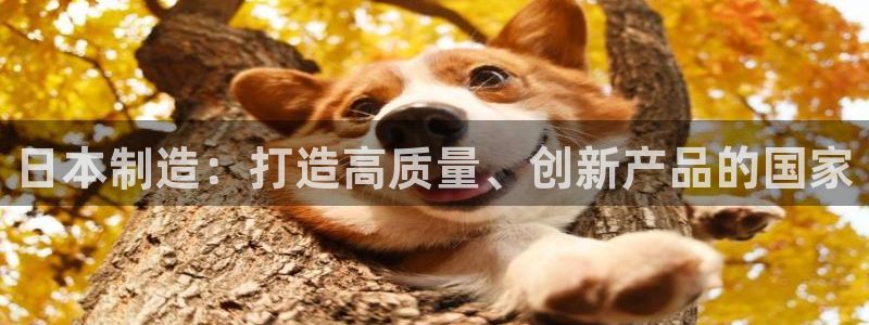 彩神vll首页环球：日本制造：打造高质量、创新产品的国家