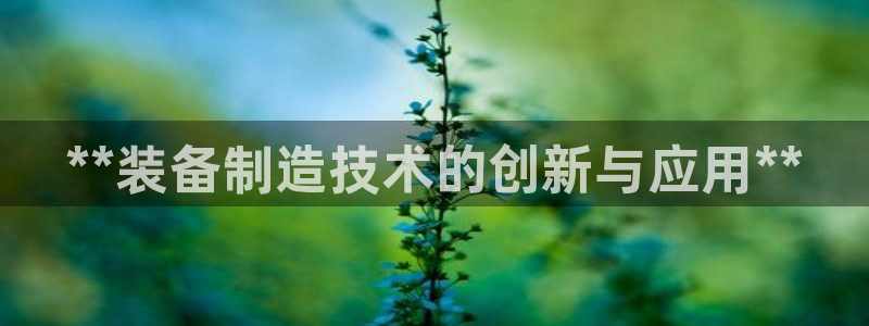 彩神购彩-购彩大厅入口下载：**装备制造技术的创新与应用**